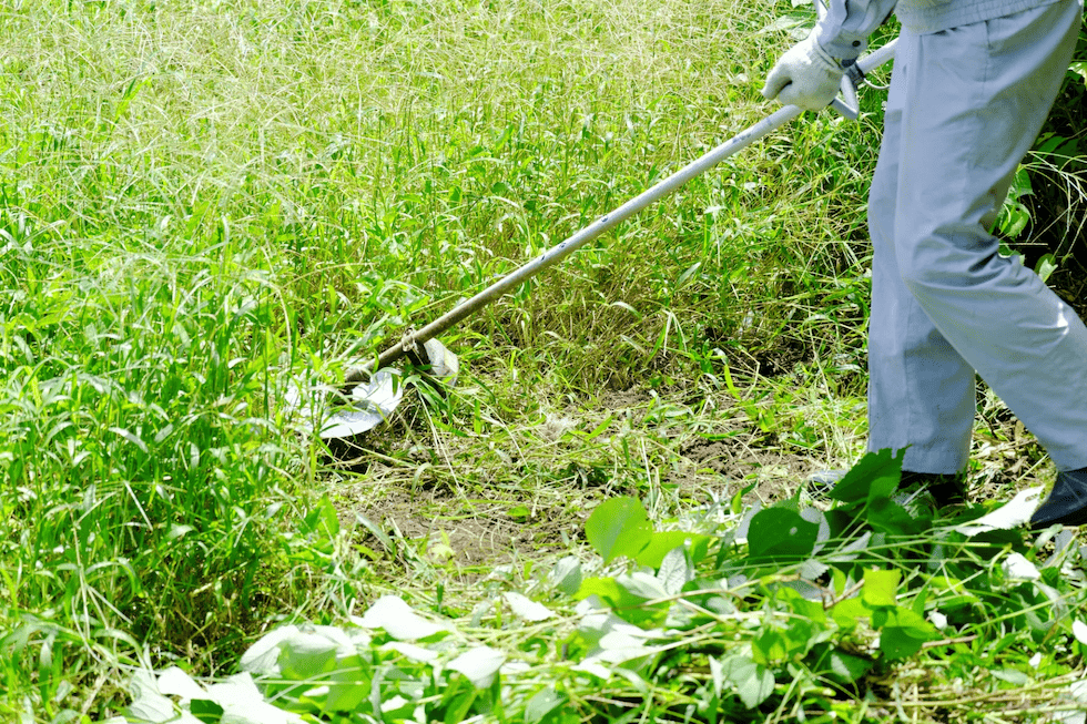 草刈りサービス